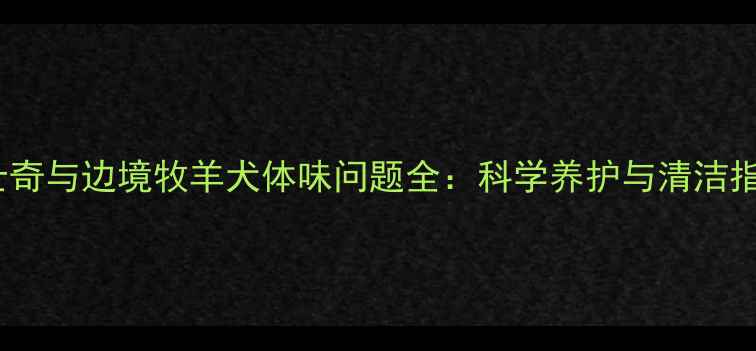 图片 哈士奇与边境牧羊犬体味问题全：科学养护与清洁指南1