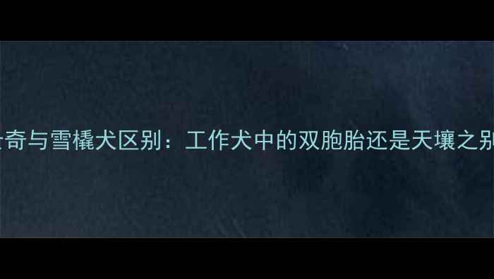 图片 哈士奇与雪橇犬区别：工作犬中的双胞胎还是天壤之别？1