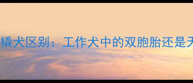 图片 哈士奇与雪橇犬区别：工作犬中的双胞胎还是天壤之别？2