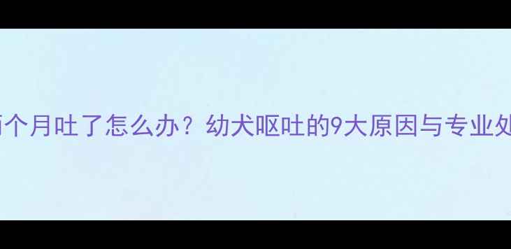 图片 哈士奇两个月吐了怎么办？幼犬呕吐的9大原因与专业处理指南1