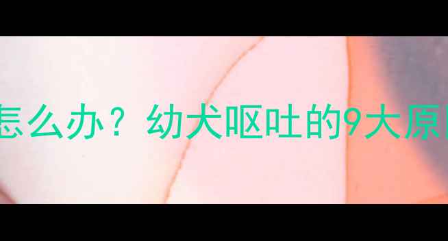 图片 哈士奇两个月吐了怎么办？幼犬呕吐的9大原因与专业处理指南2