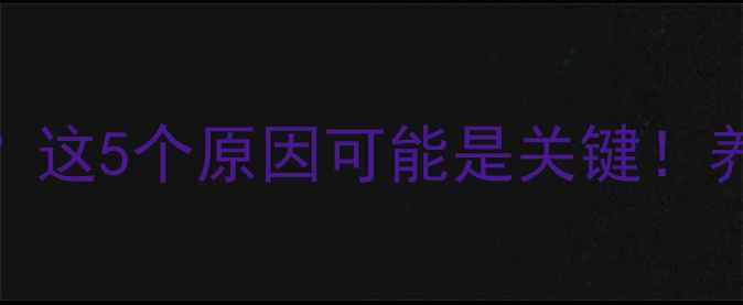 图片 哈士奇为什么总爱喝水？这5个原因可能是关键！养宠人必看饮水健康指南