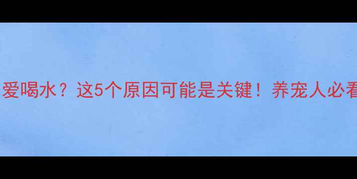 图片 哈士奇为什么总爱喝水？这5个原因可能是关键！养宠人必看饮水健康指南1