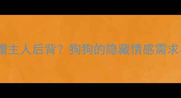 图片 哈士奇为何总爱蹭主人后背？狗狗的隐藏情感需求与科学养护指南2