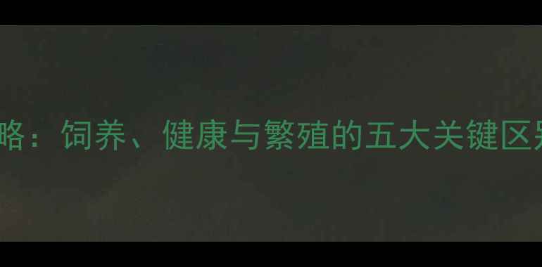 图片 哈士奇公狗vs母狗全攻略：饲养、健康与繁殖的五大关键区别（附科学养护指南）1