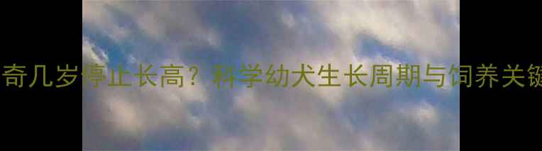 图片 哈士奇几岁停止长高？科学幼犬生长周期与饲养关键期2