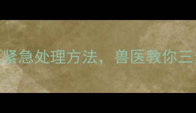 图片 哈士奇受凉腹泻症状及紧急处理方法，兽医教你三步止泻+预防受凉指南1