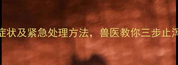 图片 哈士奇受凉腹泻症状及紧急处理方法，兽医教你三步止泻+预防受凉指南2