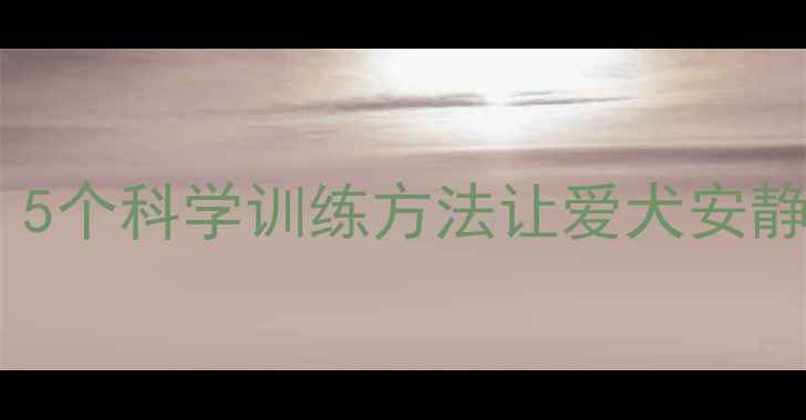 图片 哈士奇叫夜如何应对？5个科学训练方法让爱犬安静下来（附视频教程）2