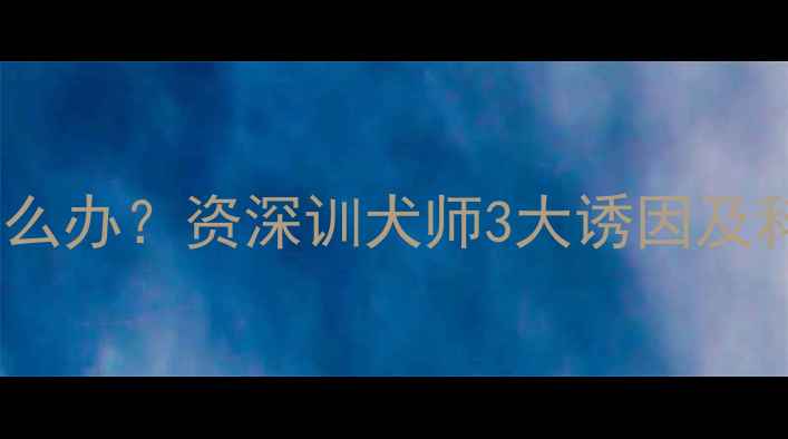 图片 哈士奇吃醋怎么办？资深训犬师3大诱因及科学应对方法1