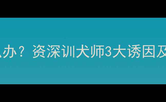 图片 哈士奇吃醋怎么办？资深训犬师3大诱因及科学应对方法2