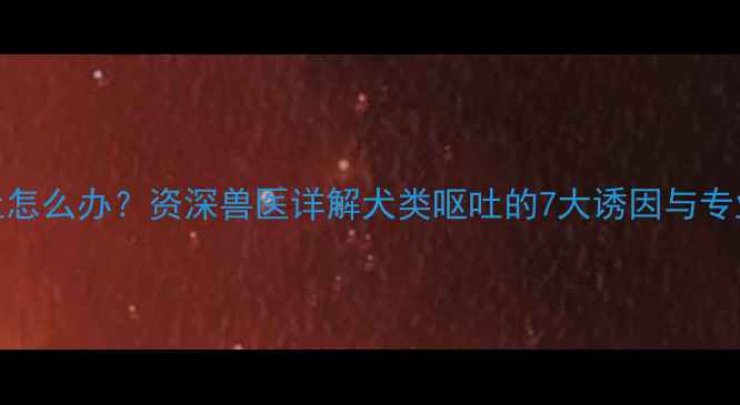 图片 哈士奇呕吐怎么办？资深兽医详解犬类呕吐的7大诱因与专业应对指南