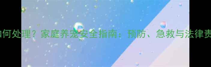 图片 哈士奇咬伤如何处理？家庭养宠安全指南：预防、急救与法律责任的全方位1