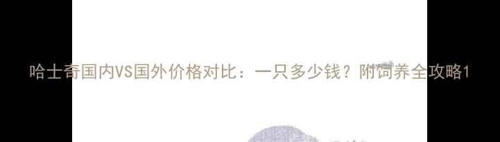 图片 哈士奇国内VS国外价格对比：一只多少钱？附饲养全攻略1