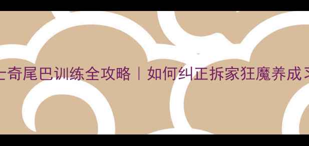 图片 哈士奇尾巴训练全攻略｜如何纠正拆家狂魔养成习惯