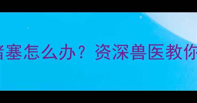 图片 哈士奇尿频尿路堵塞怎么办？资深兽医教你3步解决排尿难题