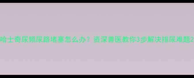 图片 哈士奇尿频尿路堵塞怎么办？资深兽医教你3步解决排尿难题2