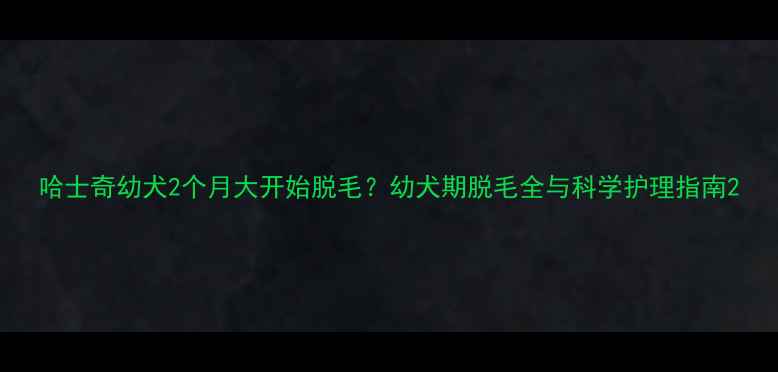 图片 哈士奇幼犬2个月大开始脱毛？幼犬期脱毛全与科学护理指南2