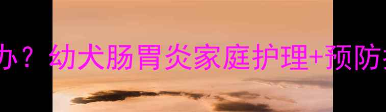 图片 哈士奇幼犬上吐下泻怎么办？幼犬肠胃炎家庭护理+预防指南（附紧急处理步骤）2