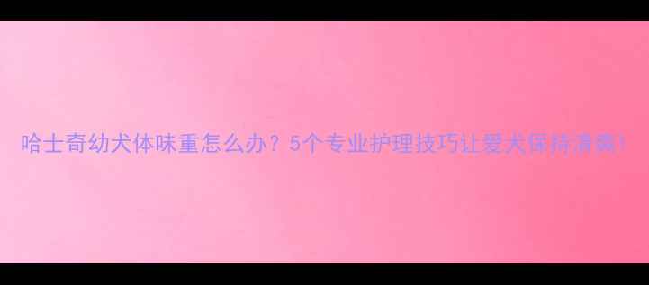 图片 哈士奇幼犬体味重怎么办？5个专业护理技巧让爱犬保持清爽1