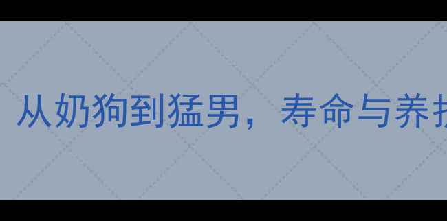 图片 哈士奇幼犬成长全记录：从奶狗到猛男，寿命与养护要点（附成长对比图）