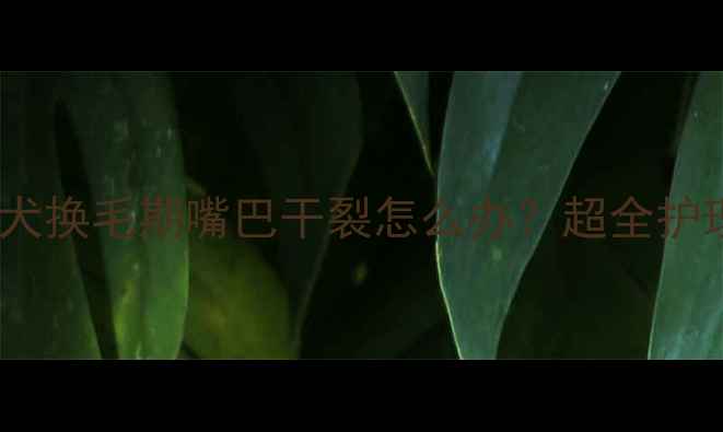 图片 哈士奇幼犬换毛期嘴巴干裂怎么办？超全护理指南🐾1