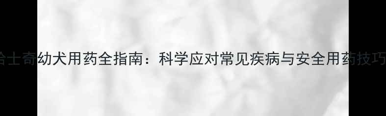 图片 哈士奇幼犬用药全指南：科学应对常见疾病与安全用药技巧2