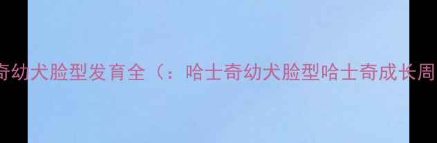 图片 哈士奇幼犬脸型发育全（：哈士奇幼犬脸型哈士奇成长周期）2