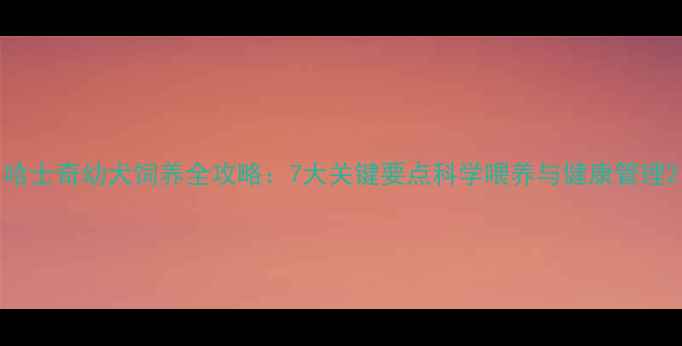 图片 哈士奇幼犬饲养全攻略：7大关键要点科学喂养与健康管理2