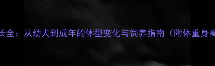 图片 哈士奇成长全：从幼犬到成年的体型变化与饲养指南（附体重身高对照表）