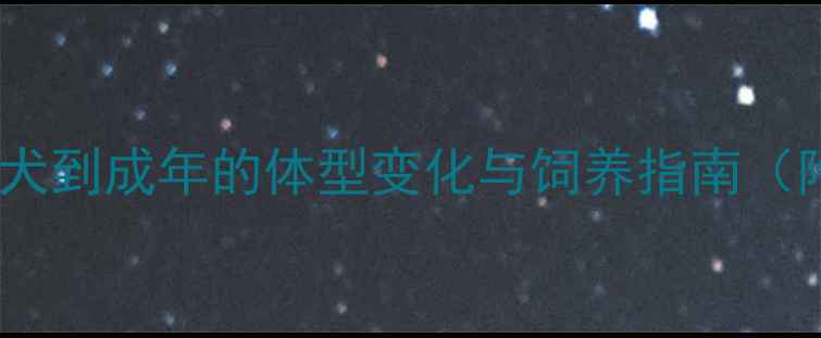 图片 哈士奇成长全：从幼犬到成年的体型变化与饲养指南（附体重身高对照表）1