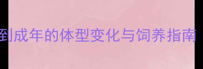 图片 哈士奇成长全：从幼犬到成年的体型变化与饲养指南（附体重身高对照表）2