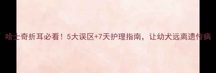 图片 哈士奇折耳必看！5大误区+7天护理指南，让幼犬远离遗传病