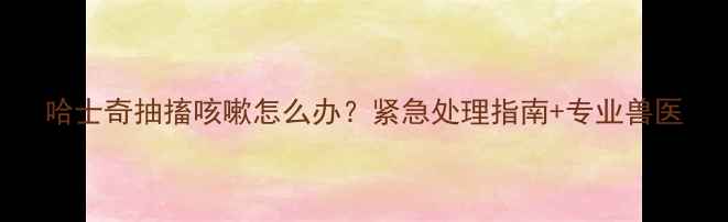 图片 哈士奇抽搐咳嗽怎么办？紧急处理指南+专业兽医