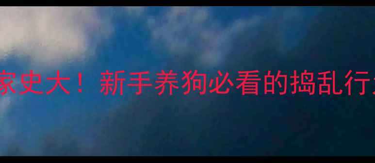 图片 哈士奇拆家史大！新手养狗必看的捣乱行为全攻略2