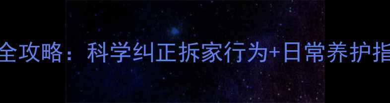 图片 哈士奇拆家队长训练全攻略：科学纠正拆家行为+日常养护指南（附训犬师建议）