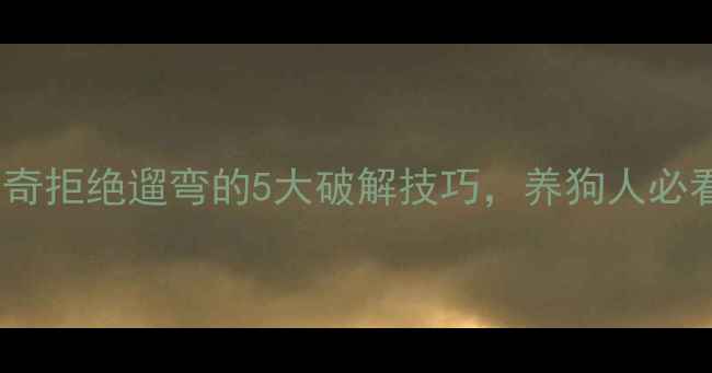 图片 哈士奇拒绝遛弯的5大破解技巧，养狗人必看！1