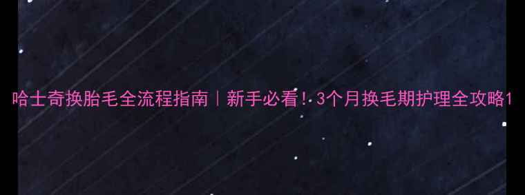 图片 哈士奇换胎毛全流程指南｜新手必看！3个月换毛期护理全攻略1