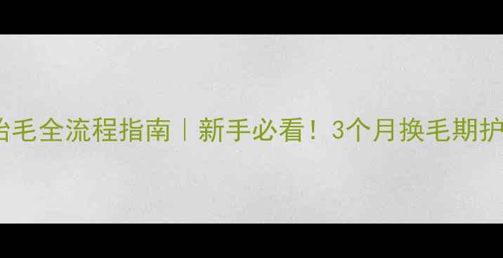 图片 哈士奇换胎毛全流程指南｜新手必看！3个月换毛期护理全攻略2