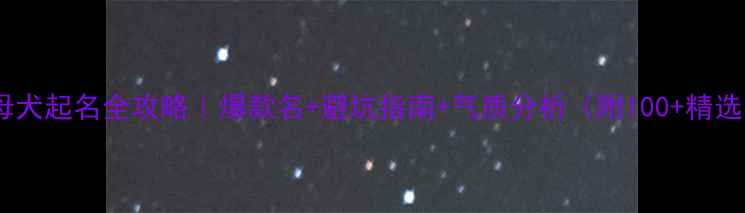 图片 哈士奇母犬起名全攻略｜爆款名+避坑指南+气质分析（附100+精选名字）2