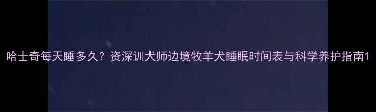 图片 哈士奇每天睡多久？资深训犬师边境牧羊犬睡眠时间表与科学养护指南1