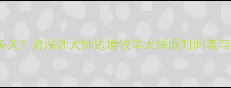 图片 哈士奇每天睡多久？资深训犬师边境牧羊犬睡眠时间表与科学养护指南2