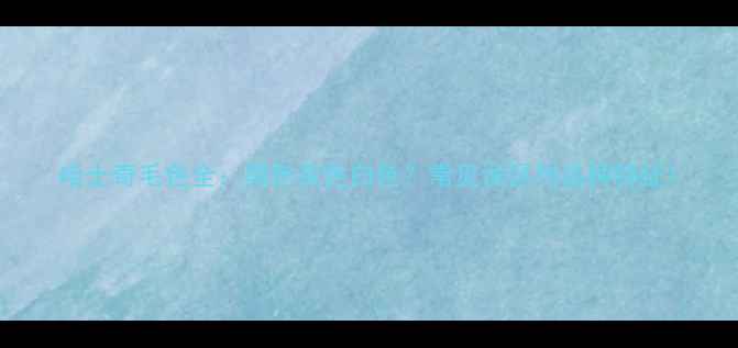 图片 哈士奇毛色全：黑色灰色白色？常见误区与品种特征1