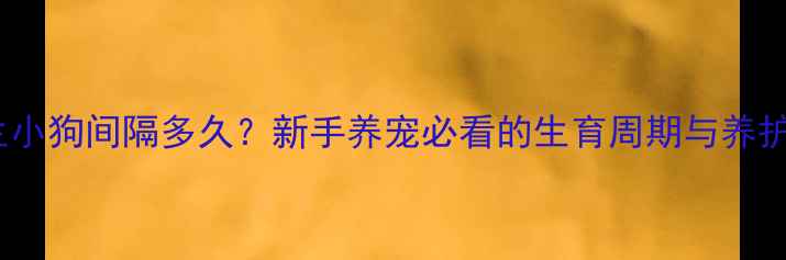 图片 哈士奇生小狗间隔多久？新手养宠必看的生育周期与养护指南🐾2