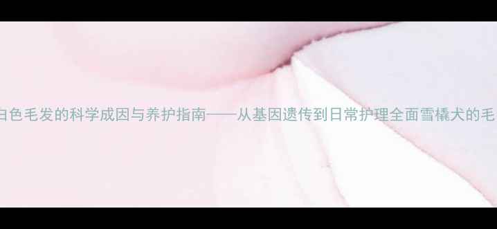 图片 哈士奇白色毛发的科学成因与养护指南——从基因遗传到日常护理全面雪橇犬的毛色奥秘1