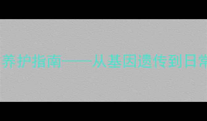 图片 哈士奇白色毛发的科学成因与养护指南——从基因遗传到日常护理全面雪橇犬的毛色奥秘2