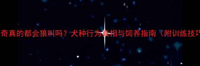 图片 哈士奇真的都会狼叫吗？犬种行为真相与饲养指南（附训练技巧）2