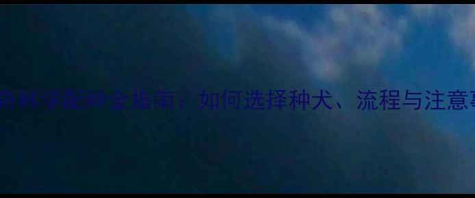 图片 哈士奇科学配种全指南：如何选择种犬、流程与注意事项1