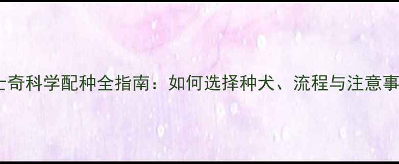 图片 哈士奇科学配种全指南：如何选择种犬、流程与注意事项2