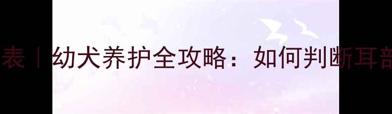 图片 哈士奇立耳时间表｜幼犬养护全攻略：如何判断耳部发育正常？🐾2